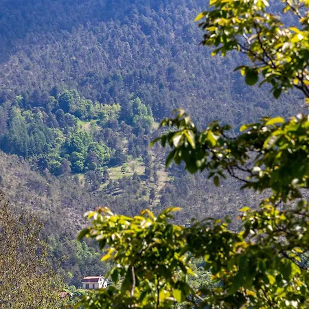 Corte Girodo - Viola דירה *