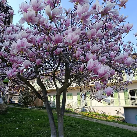 Corte Girodo - Viola Appartement
