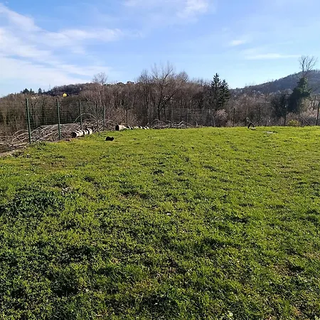 Corte Girodo - Viola Rubiana