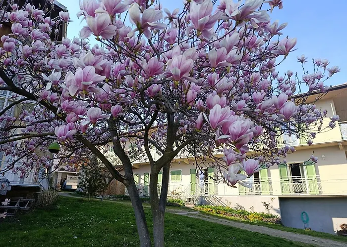 Corte Girodo - Viola Apartman